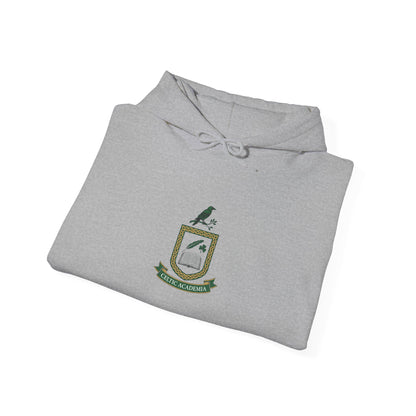 Celtic Crest Hoodie | Irish Heritage, Emerald Dark Academia